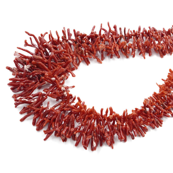 Mediterranean coral strands cupolini shape – Corsica – Second Quality
