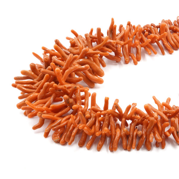 Sciacca Mediterranean coral strands cupolini shape