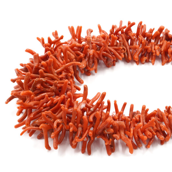 Sciacca Mediterranean coral strands cupolini shape