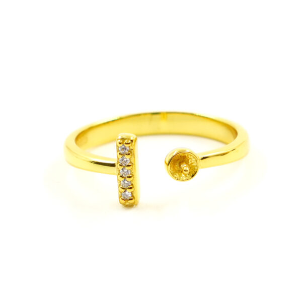 Anello in Argento a 1 elemento – Dorato